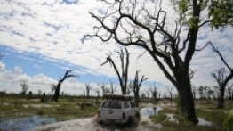 Toyoty HiLux z ogumieniem AT, a najlepiej też doposażone w snorkel, czyli zewnętrzny wlot powietrza do silnikam gwarantują brodzenie – często to po prostu konieczność - zdjęcie 7